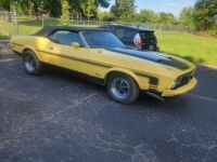 1973 Ford Mustang for sale in Michigan (ID-123513)