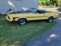 1973 Ford Mustang for sale in Michigan (ID-123513)