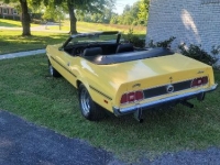 1973 Ford Mustang for sale in Michigan (ID-123513)