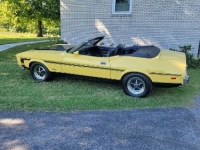 1973 Ford Mustang for sale in Michigan (ID-123513)