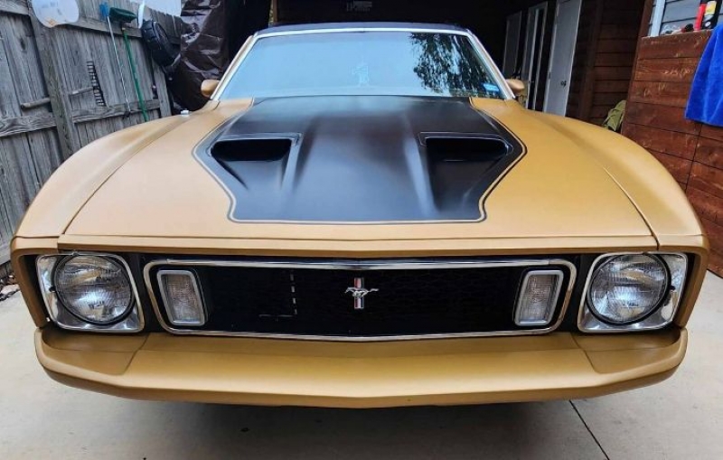 1973 Ford Mustang for sale in Michigan (ID-123664)