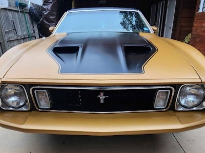 1973 Ford Mustang for sale