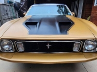 1973 Ford Mustang for sale in Michigan (ID-123664)