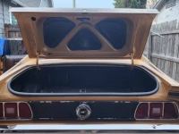 1973 Ford Mustang for sale in Michigan (ID-123664)