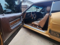 1973 Ford Mustang for sale in Michigan (ID-123664)