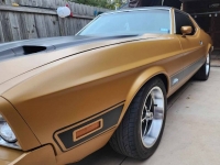 1973 Ford Mustang for sale in Michigan (ID-123664)