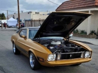 1973 Ford Mustang for sale in Michigan (ID-123664)