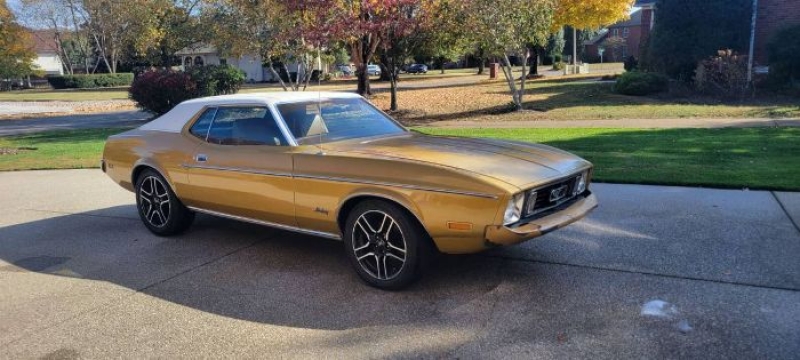 1973 Ford Mustang for sale in Michigan (ID-126155)