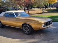 1973 Ford Mustang for sale in Michigan (ID-126155)