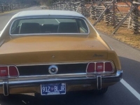 1973 Ford Mustang for sale in Michigan (ID-126155)