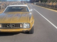 1973 Ford Mustang for sale in Michigan (ID-126155)