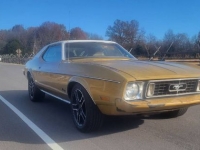 1973 Ford Mustang for sale in Michigan (ID-126155)