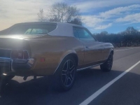 1973 Ford Mustang for sale in Michigan (ID-126155)