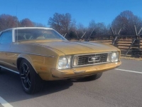 1973 Ford Mustang for sale in Michigan (ID-126155)