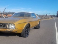 1973 Ford Mustang for sale in Michigan (ID-126155)