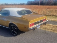 1973 Ford Mustang for sale in Michigan (ID-126155)