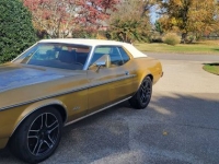 1973 Ford Mustang for sale in Michigan (ID-126155)