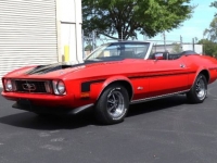 1973 Ford Mustang for sale in Michigan (ID-127024)