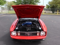1973 Ford Mustang for sale in Michigan (ID-127024)