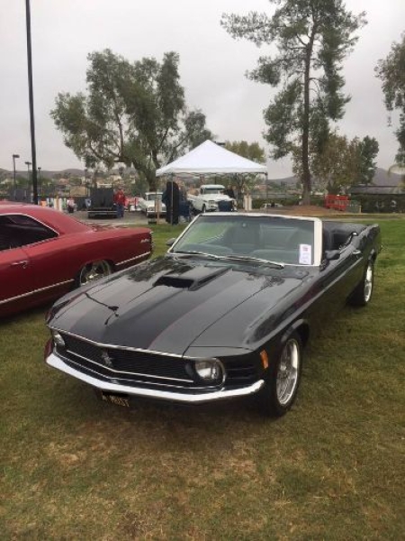 1973 Ford Mustang for sale in Michigan (ID-127253)