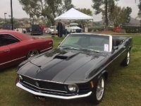1973 Ford Mustang for sale in Michigan (ID-127253)