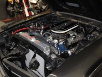 1973 Ford Mustang for sale in Michigan (ID-127253)