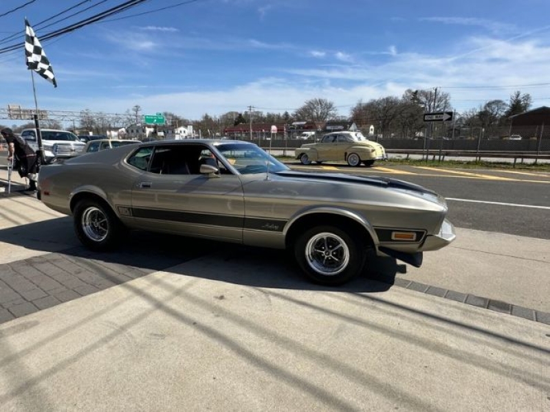 1973 Ford Mustang for sale in Michigan (ID-127490)