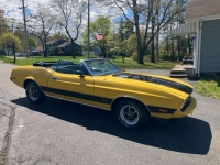 1973 Ford Mustang for sale in Riverhead, New York (ID-128133)