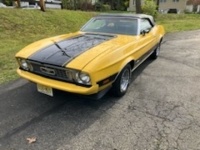 1973 Ford Mustang for sale in Riverhead, New York (ID-128133)