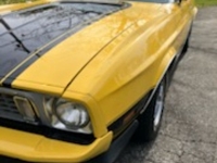 1973 Ford Mustang for sale in Riverhead, New York (ID-128133)