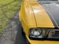 1973 Ford Mustang for sale in Riverhead, New York (ID-128133)