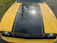 1973 Ford Mustang for sale in Riverhead, New York (ID-128133)