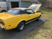 1973 Ford Mustang for sale in Riverhead, New York (ID-128133)