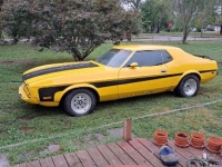 1973 Ford Mustang for sale in Michigan (ID-130040)