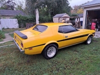 1973 Ford Mustang for sale in Michigan (ID-130040)