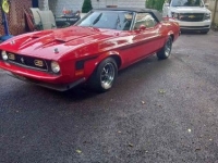 1973 Ford Mustang for sale in Michigan (ID-130624)