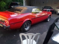 1973 Ford Mustang for sale in Michigan (ID-130624)