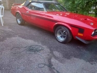 1973 Ford Mustang for sale in Michigan (ID-130624)