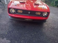 1973 Ford Mustang for sale in Michigan (ID-130624)