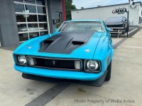 1973 Ford Mustang for sale in Riverhead, New York (ID-131941)