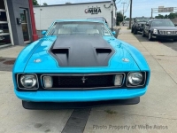1973 Ford Mustang for sale in Riverhead, New York (ID-131941)