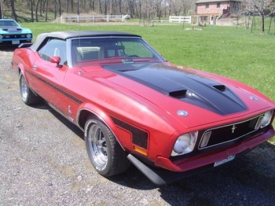 1973 Ford Mustang for sale