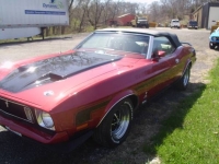 1973 Ford Mustang for sale (ID-99486)