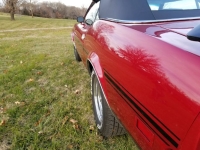 1973 Ford Mustang for sale (ID-99486)