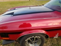 1973 Ford Mustang for sale (ID-99486)
