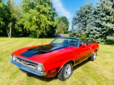 1973 Ford Mustang for sale