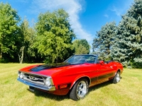 1973 Ford Mustang for sale in Michigan (ID-134180)