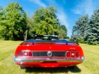 1973 Ford Mustang for sale in Michigan (ID-134180)