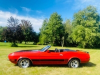1973 Ford Mustang for sale in Michigan (ID-134180)