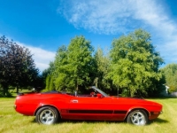 1973 Ford Mustang for sale in Michigan (ID-134180)